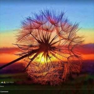 Meet your Posher, Fran